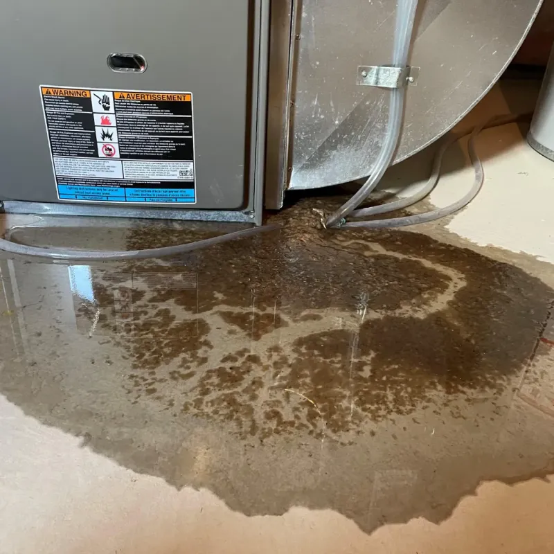 Appliance Leak Cleanup in North Hills, CA