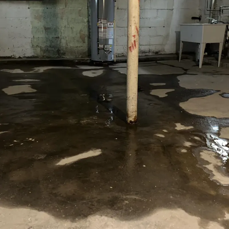 Emergency Water Extraction And Removal in North Hills, CA